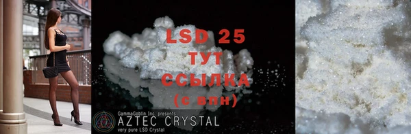 стаф Баксан