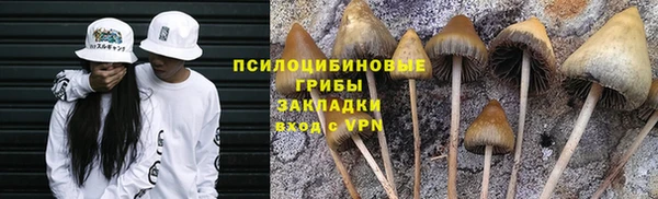стаф Баксан