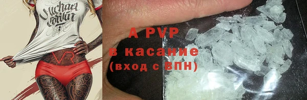 стаф Баксан