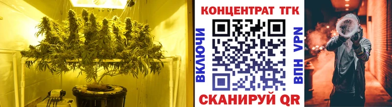 Дистиллят ТГК Wax  МЕГА ONION  Новодвинск 