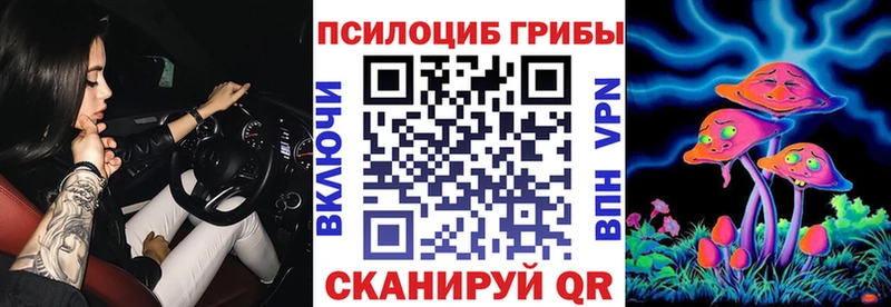 Псилоцибиновые грибы Cubensis  даркнет формула  Новодвинск 
